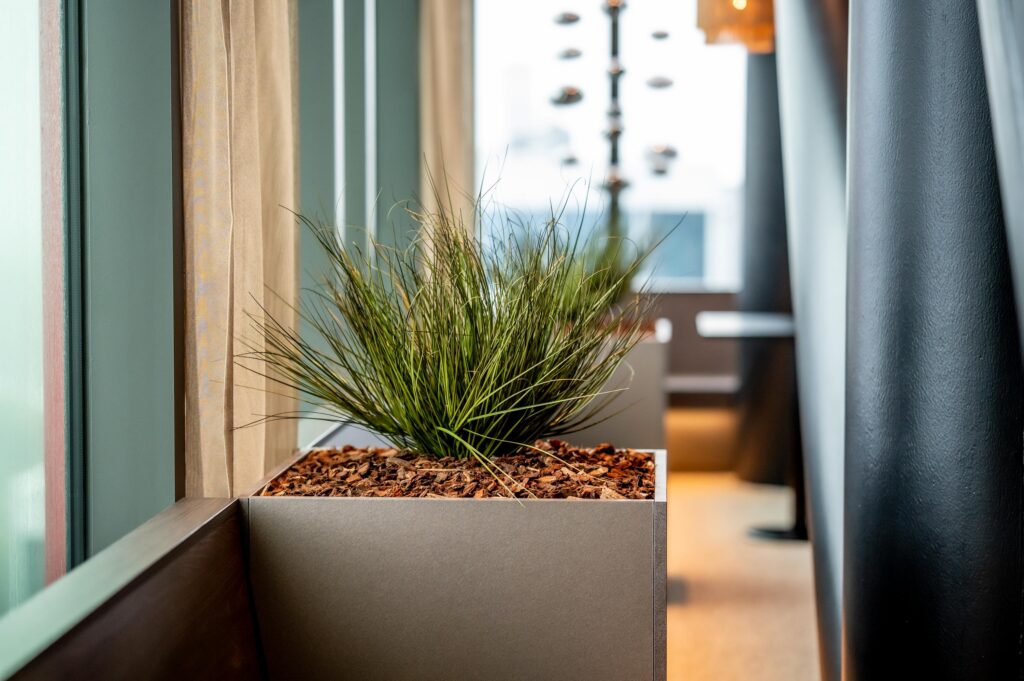 Moderne plantenbak met siergras langs een raam in een strak vormgegeven interieur aan de P.J. Oudweg.